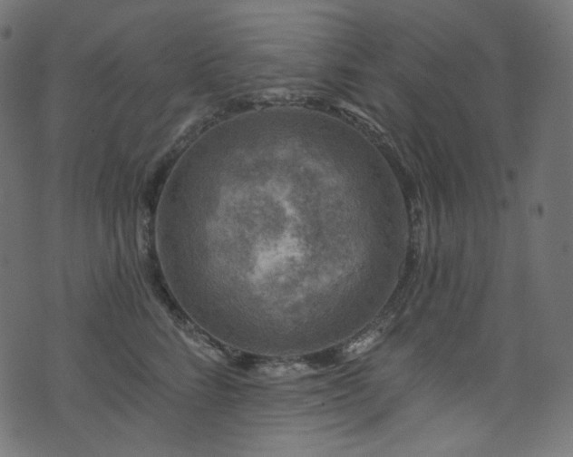 X0000074340712200608251351