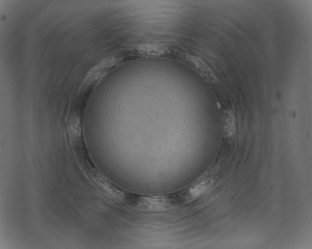 X0000074340713200608251351