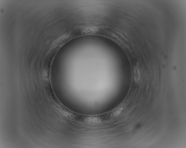 X0000074340714200608251351