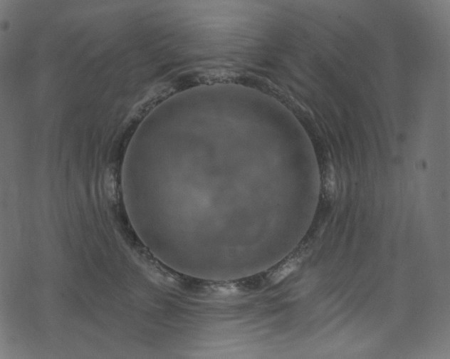 X0000074340715200608251351