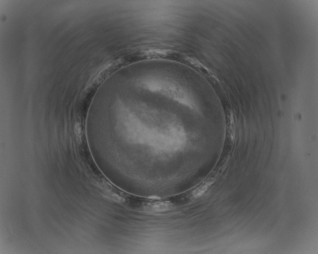 X0000074340716200608251351