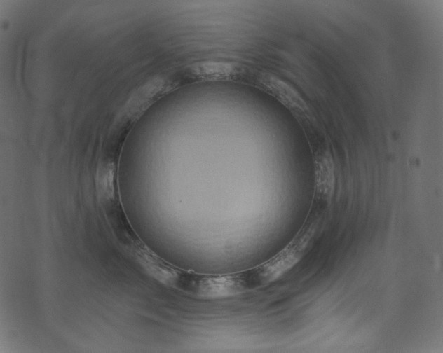 X0000074340717200608251351