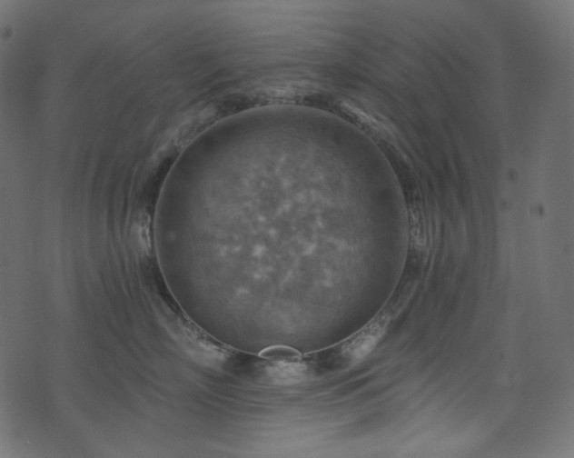 X0000074340718200608251351