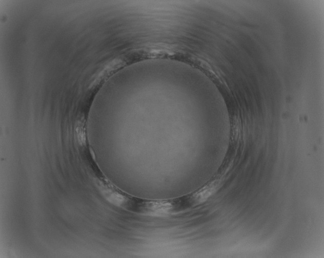 X0000074340719200608251351