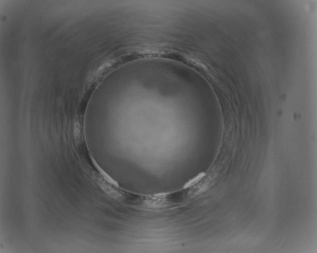 X0000074340720200608251351