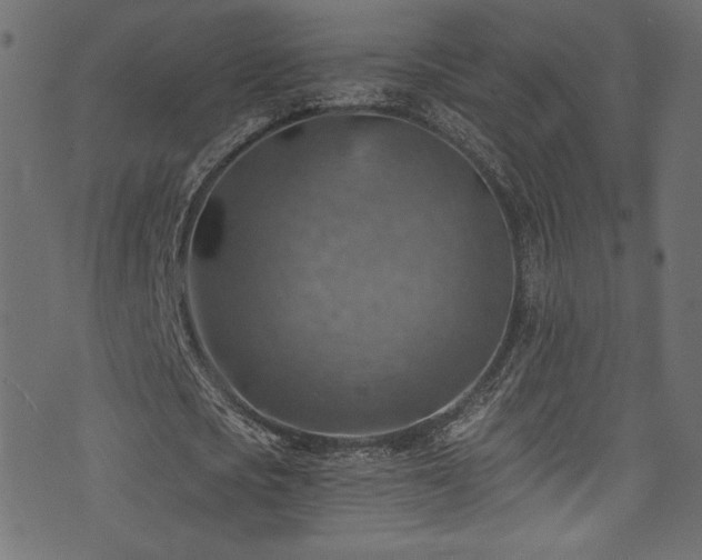 X0000074340721200608251350