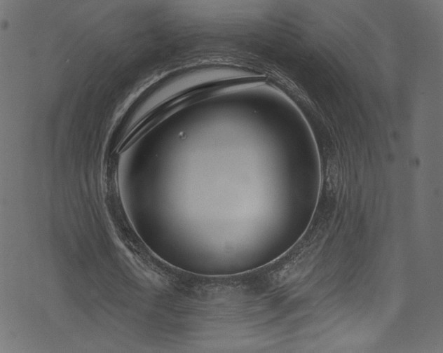 X0000074340722200608251350