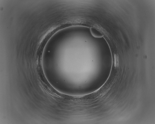 X0000074340723200608251350