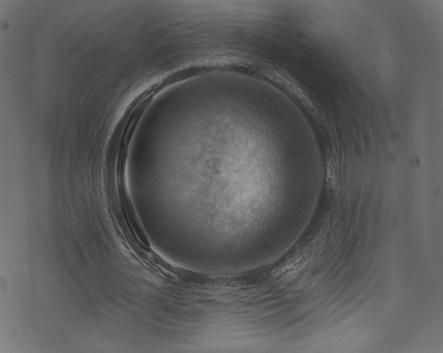 X0000074340724200608251350