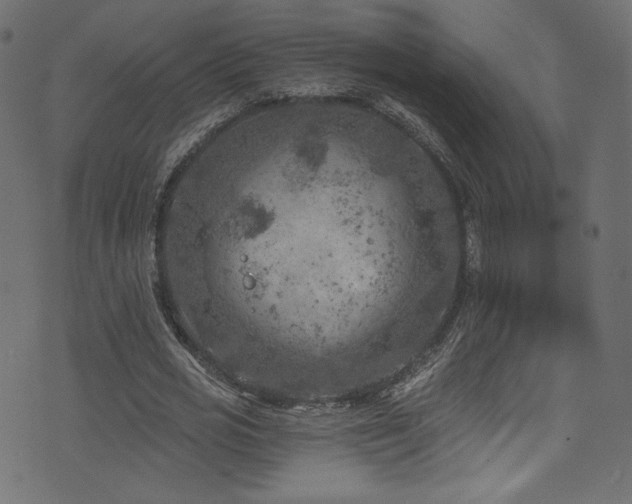 X0000074340725200608251350