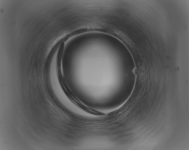 X0000074340727200608251350