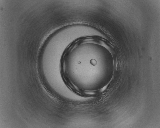 X0000074340728200608251350