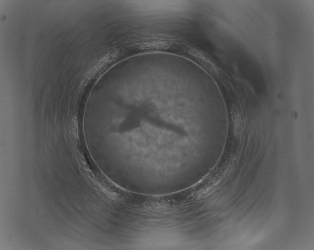 X0000074340729200608251350