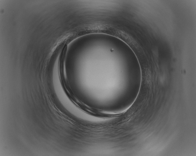 X0000074340731200608251350