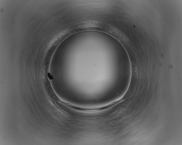 X0000074340732200608251350