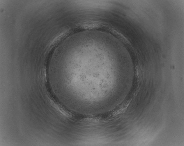 X0000074340733200608251350