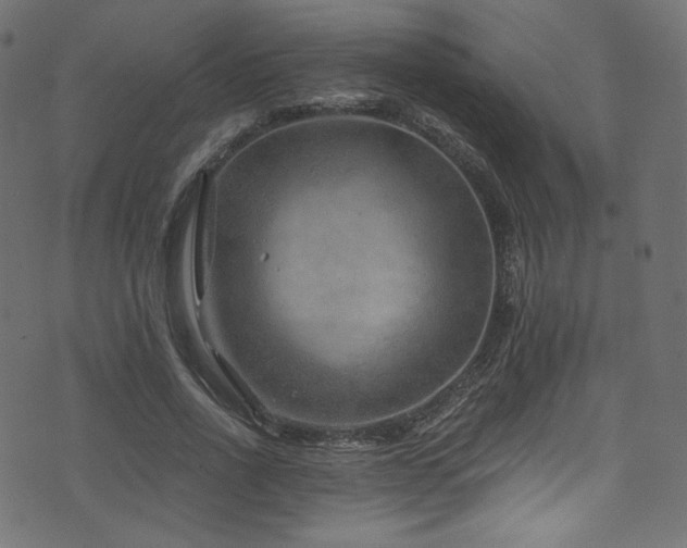 X0000074340734200608251350