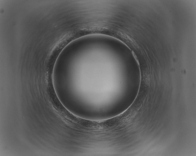 X0000074340735200608251350