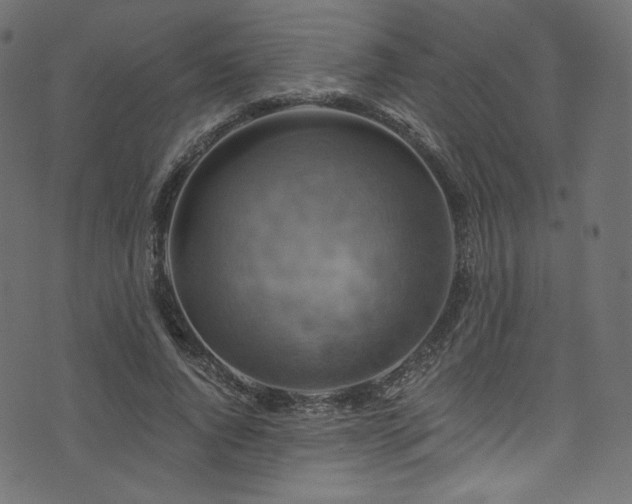 X0000074340736200608251350