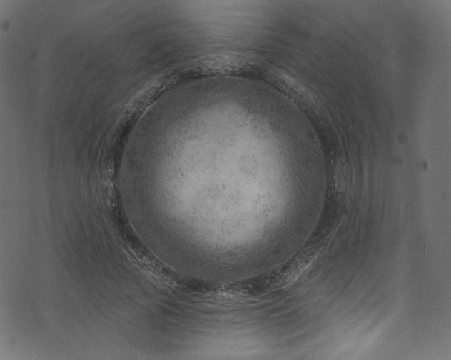 X0000074340737200608251350