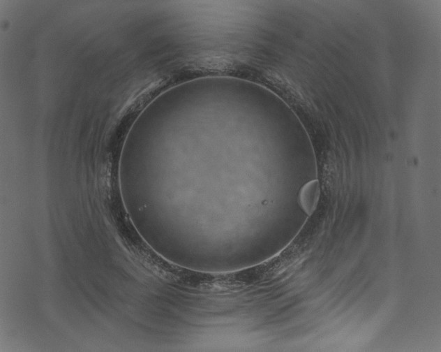 X0000074340739200608251350