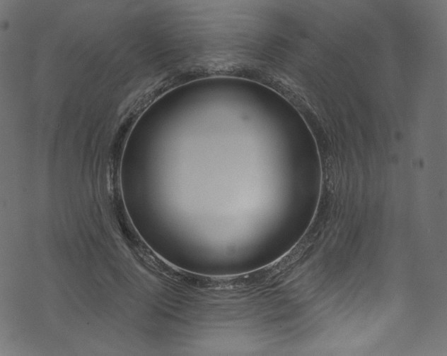 X0000074340740200608251350