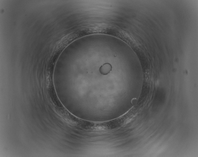 X0000074340741200608251350