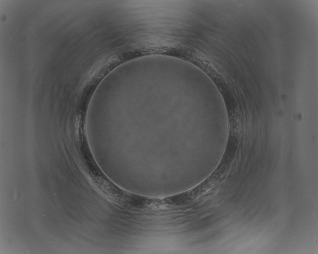 X0000074340742200608251350