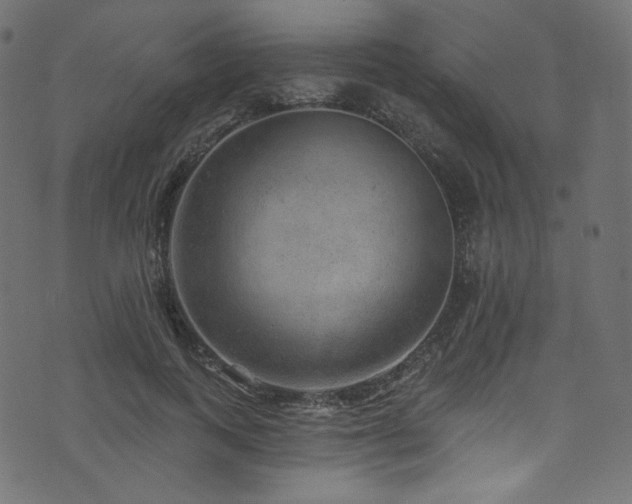 X0000074340743200608251350