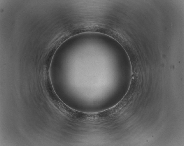 X0000074340744200608251350