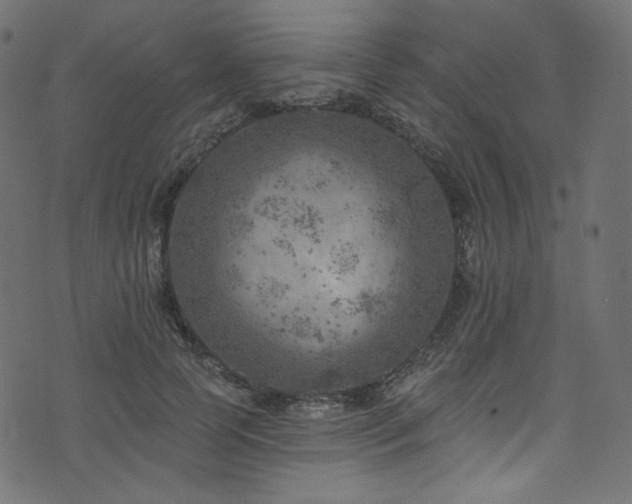 X0000074340745200608251350