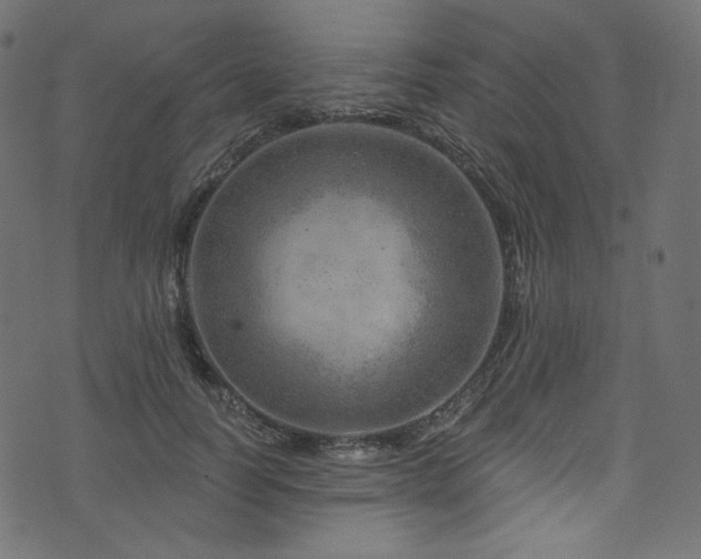 X0000074340746200608251350