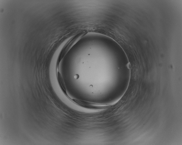 X0000074340747200608251350