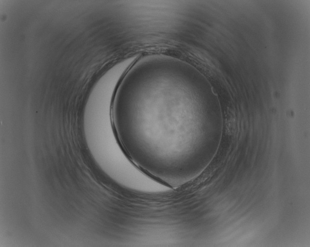 X0000074340748200608251350