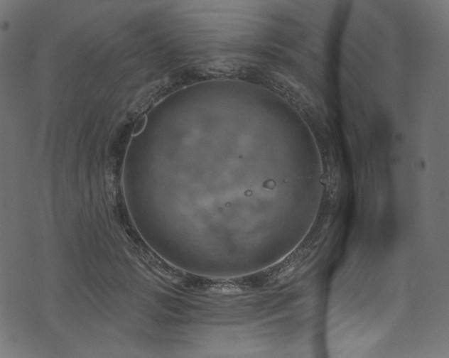 X0000074340749200608251350