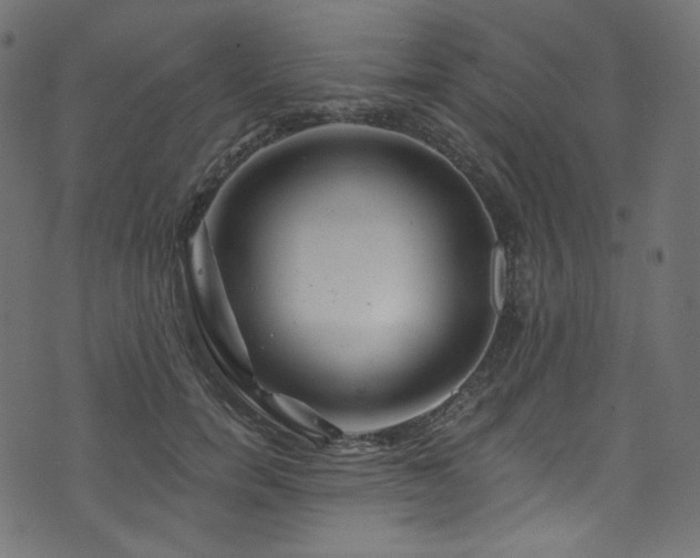 X0000074340750200608251350