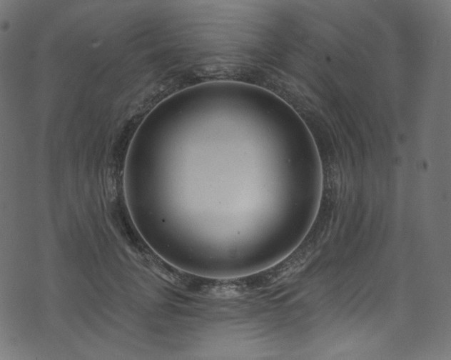 X0000074340751200608251350