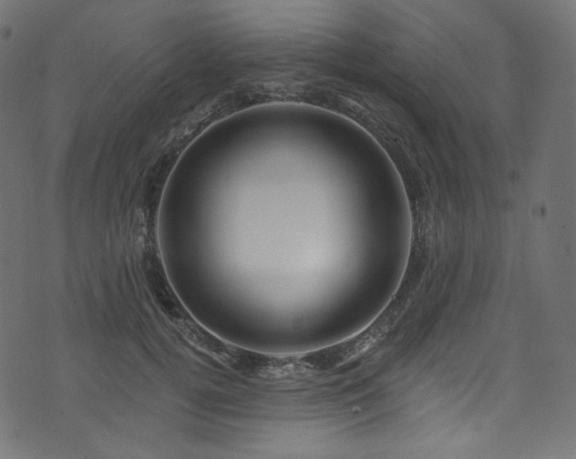 X0000074340752200608251350