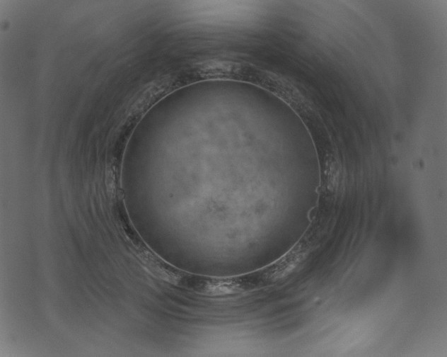 X0000074340753200608251350