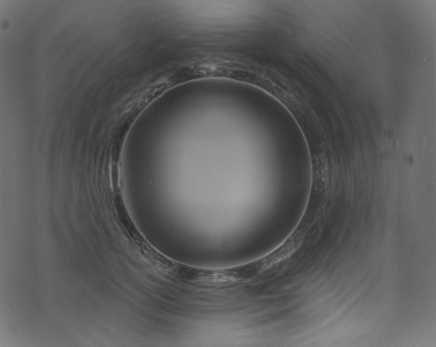 X0000074340754200608251350