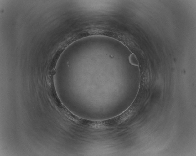 X0000074340755200608251350