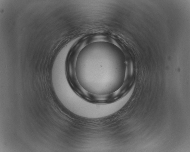 X0000074340756200608251350