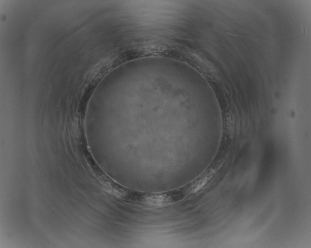 X0000074340757200608251350