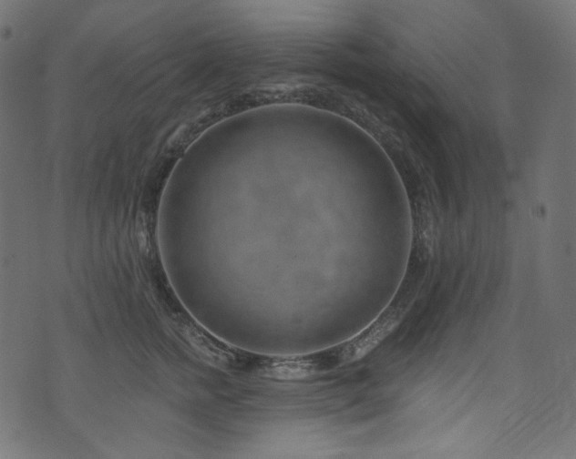 X0000074340758200608251350