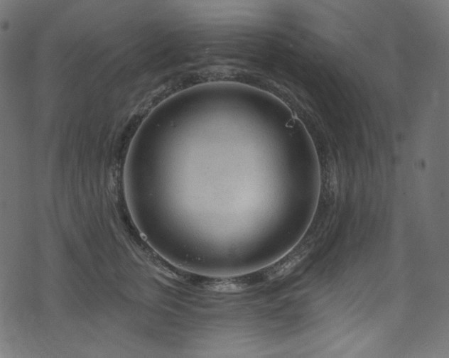 X0000074340759200608251350