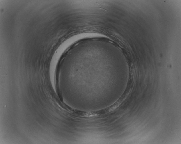 X0000074340760200608251351