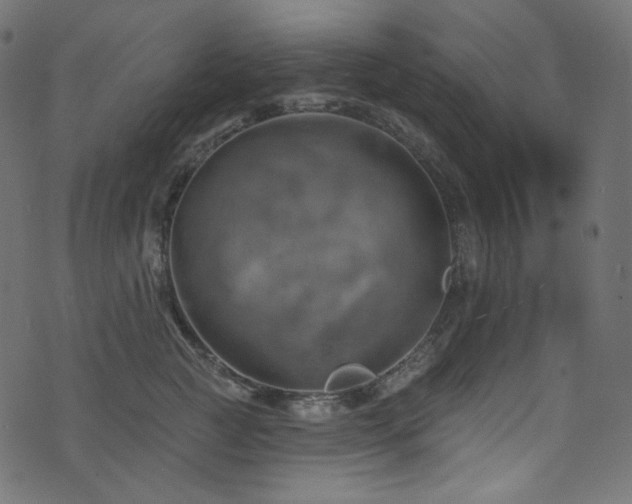 X0000074340761200608251351