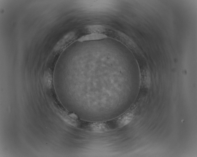 X0000074340762200608251351