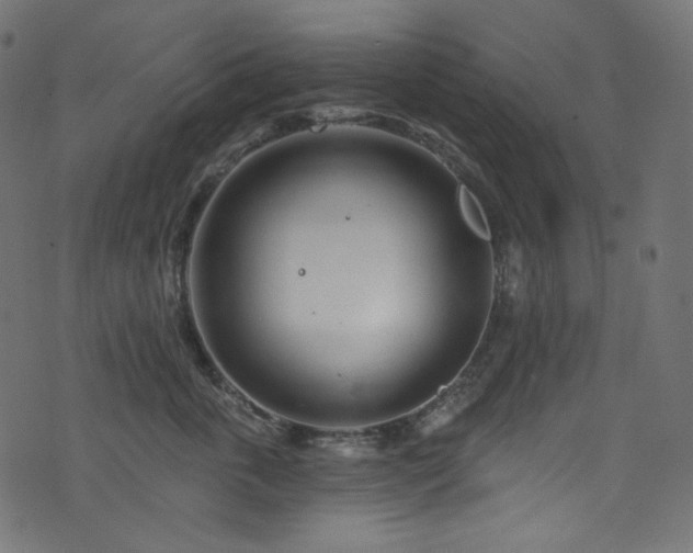 X0000074340763200608251351