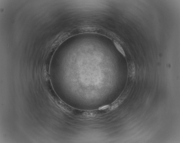 X0000074340764200608251351